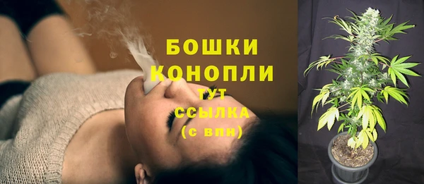 сатива Саяногорск